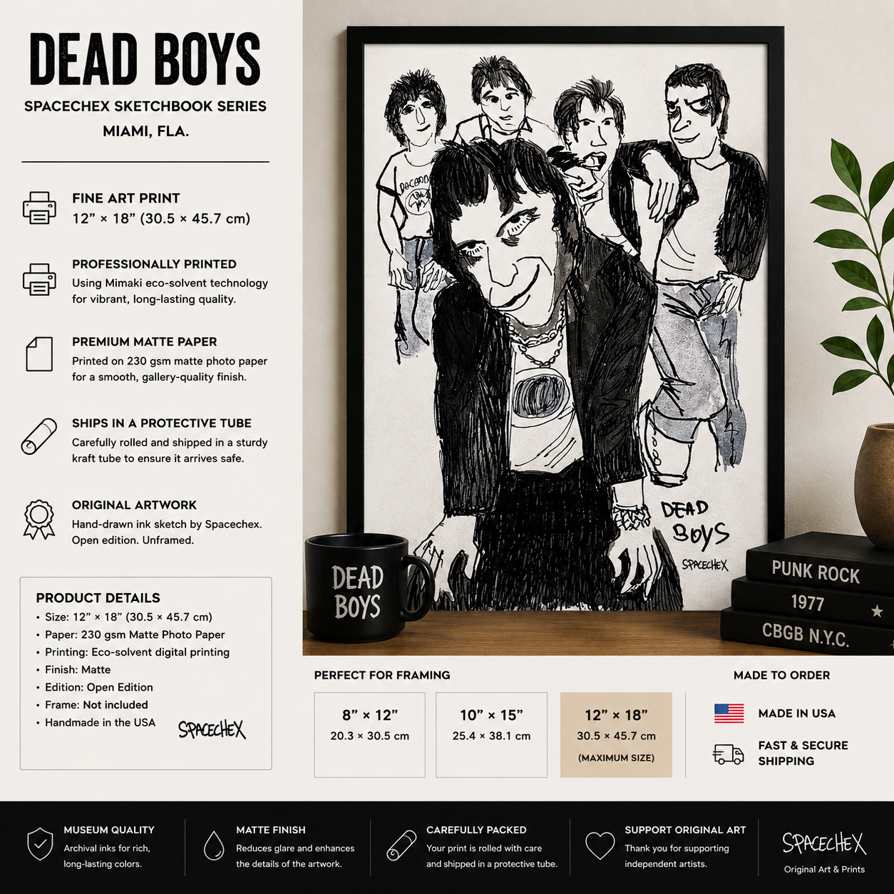 DEAD BOYS-1977-Music Icons